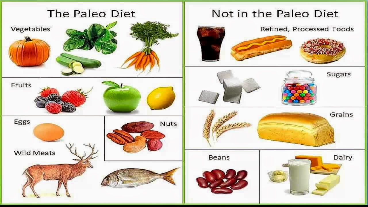 Paleo Diet Definition
 WHO INVENTED IT March 2015