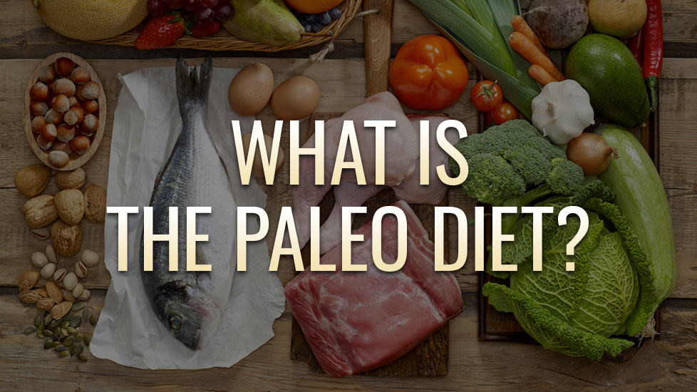 Paleo Diet Definition
 What is the Paleo Diet The Definitive Plan for All You