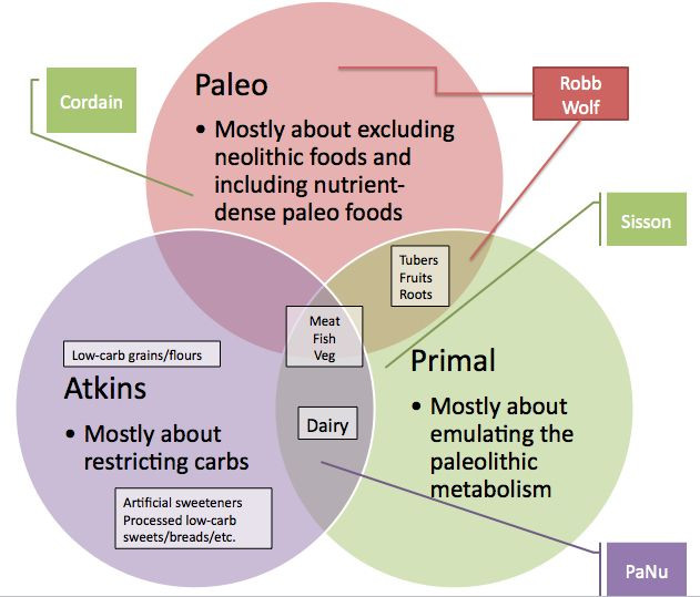 Paleo Diet Versus Atkins
 Paleo Vs Primal Vs Atkins AND NO Paleo does not mean low