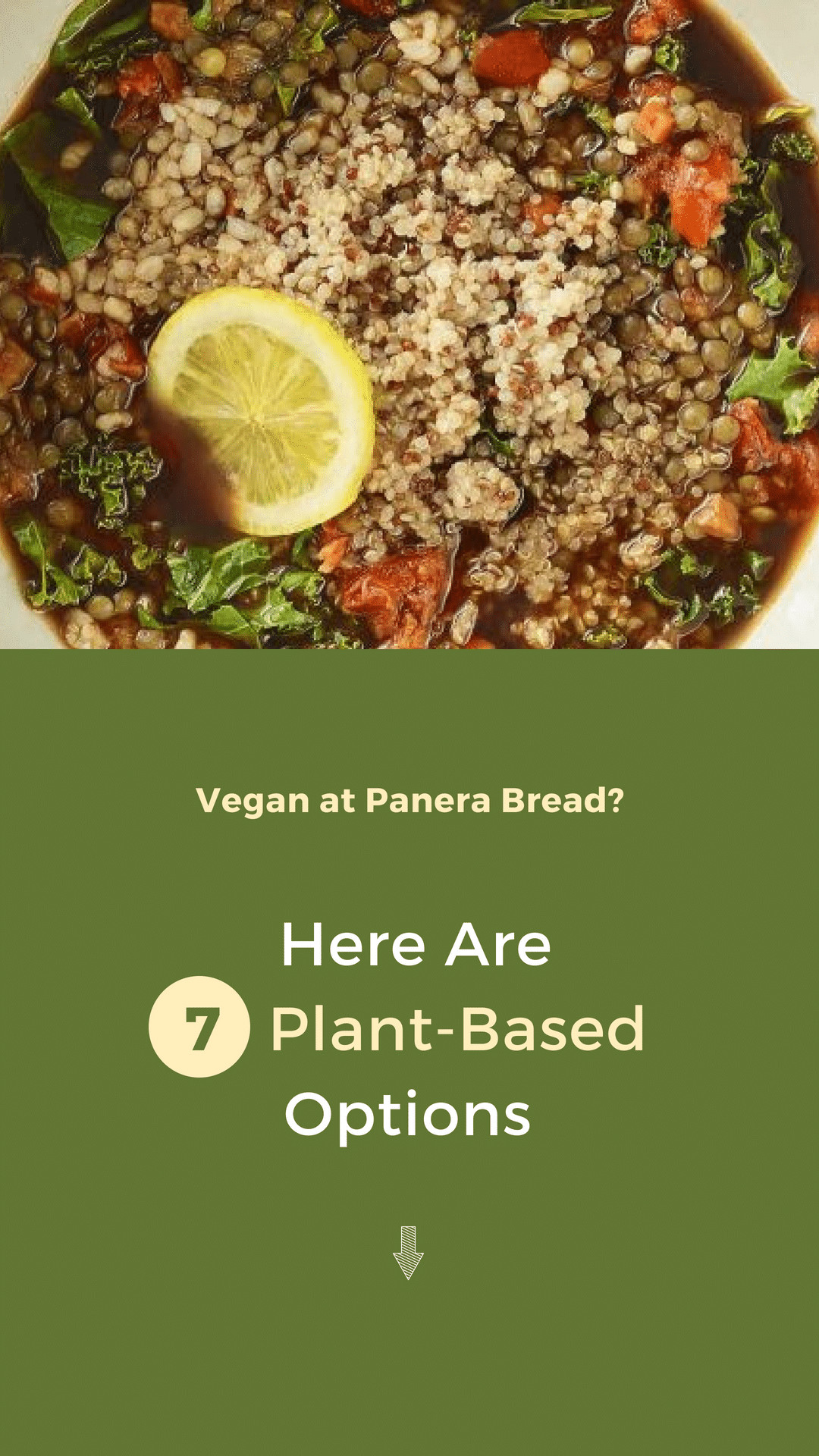 Panera Bread Vegan Menu
 Vegan at Panera Bread Here Are 7 Plant Based Options