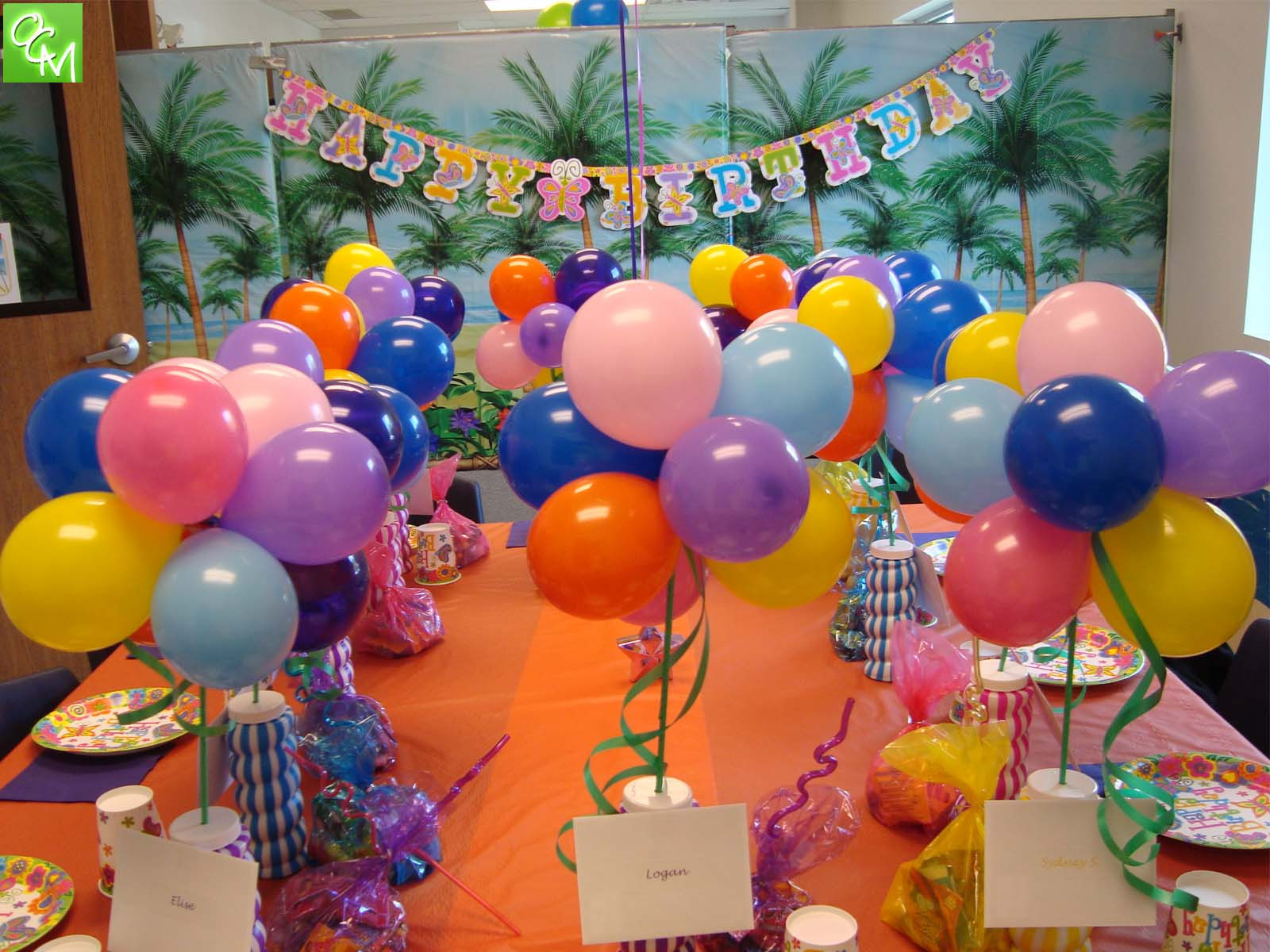 Park Birthday Party
 Paradise Park Novi Birthday Party Packages