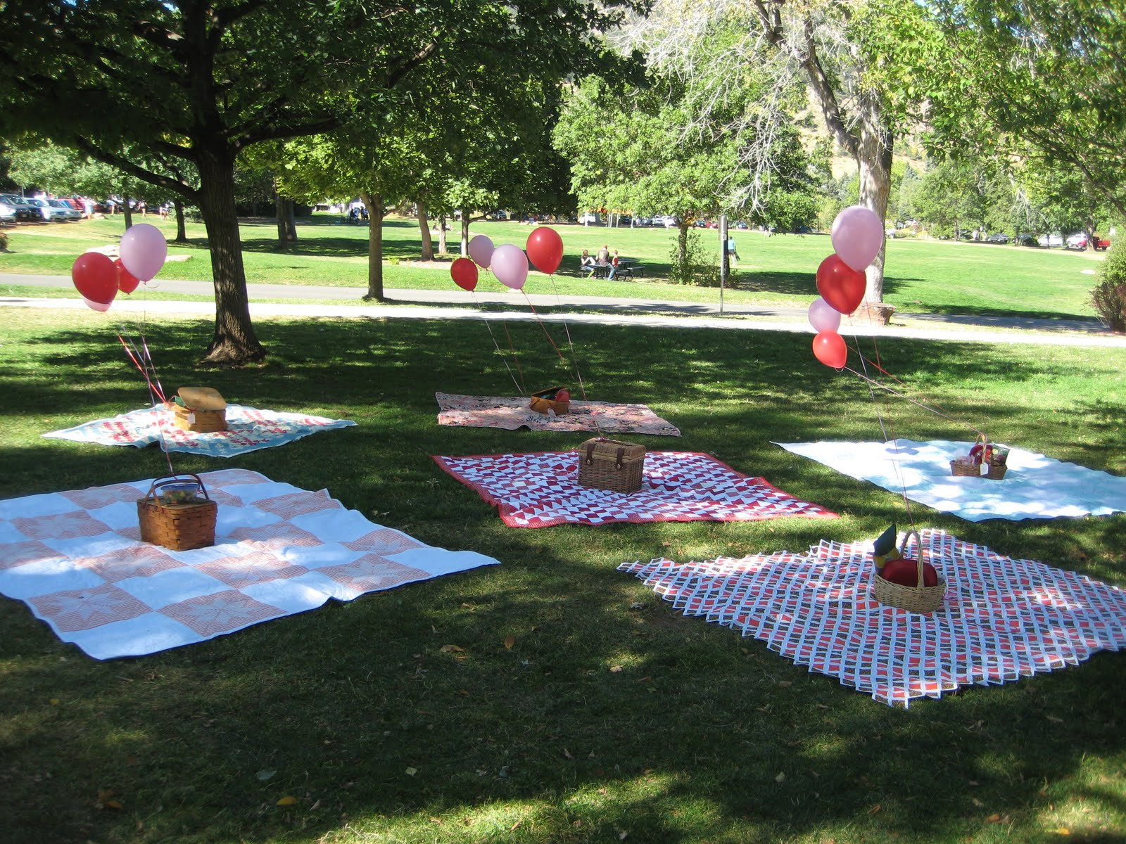 Park Birthday Party
 Colorado Sartells Chautauqua Park Picnic Birthday