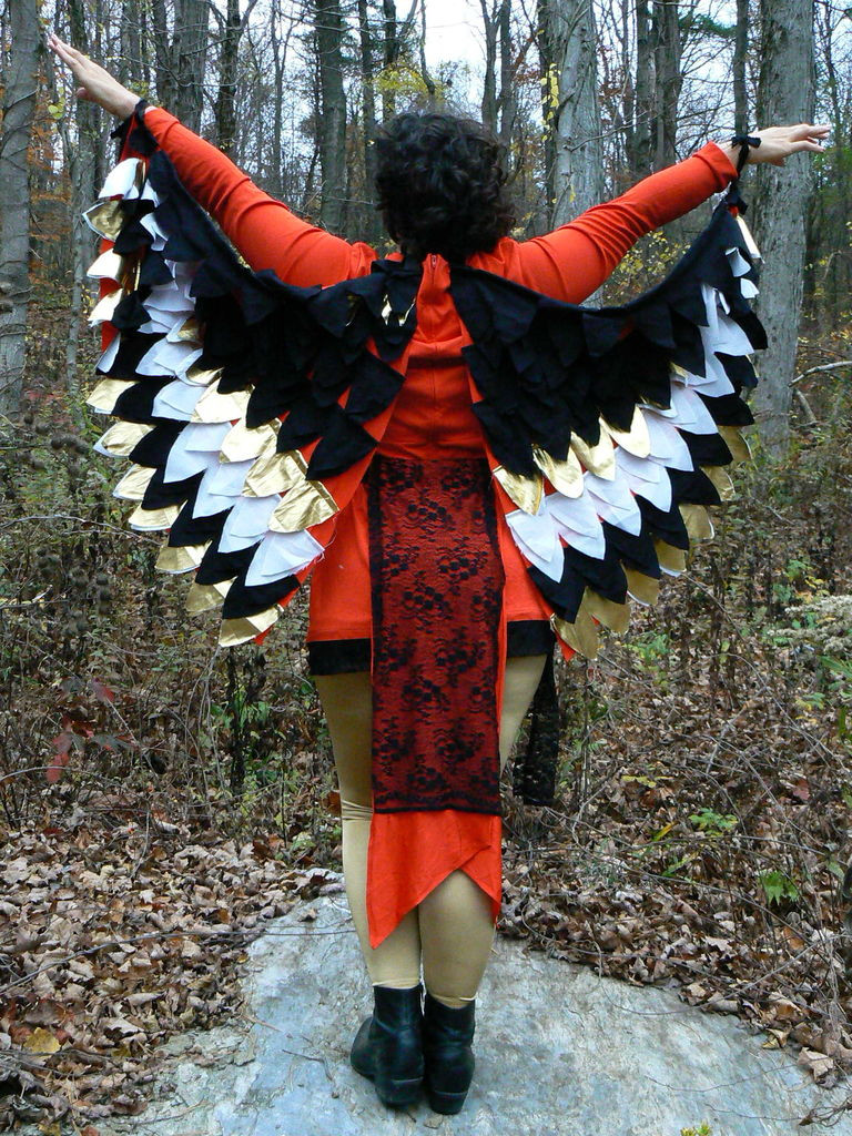 Parrot Costume DIY
 NattyJane s Birds of a Feather Costume Tutorial