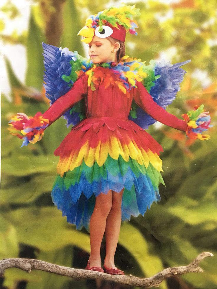 Parrot Costume DIY
 25 best costume DIY rainbow macaw parrot images on