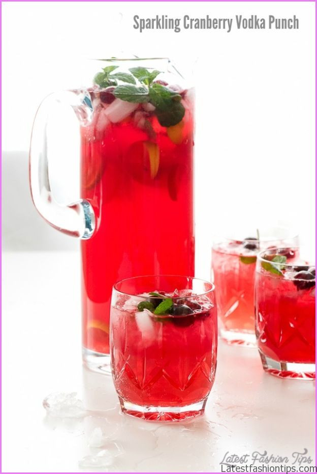 Party Drinks With Vodka
 Vodka Punch Drink Recipes LatestFashionTips