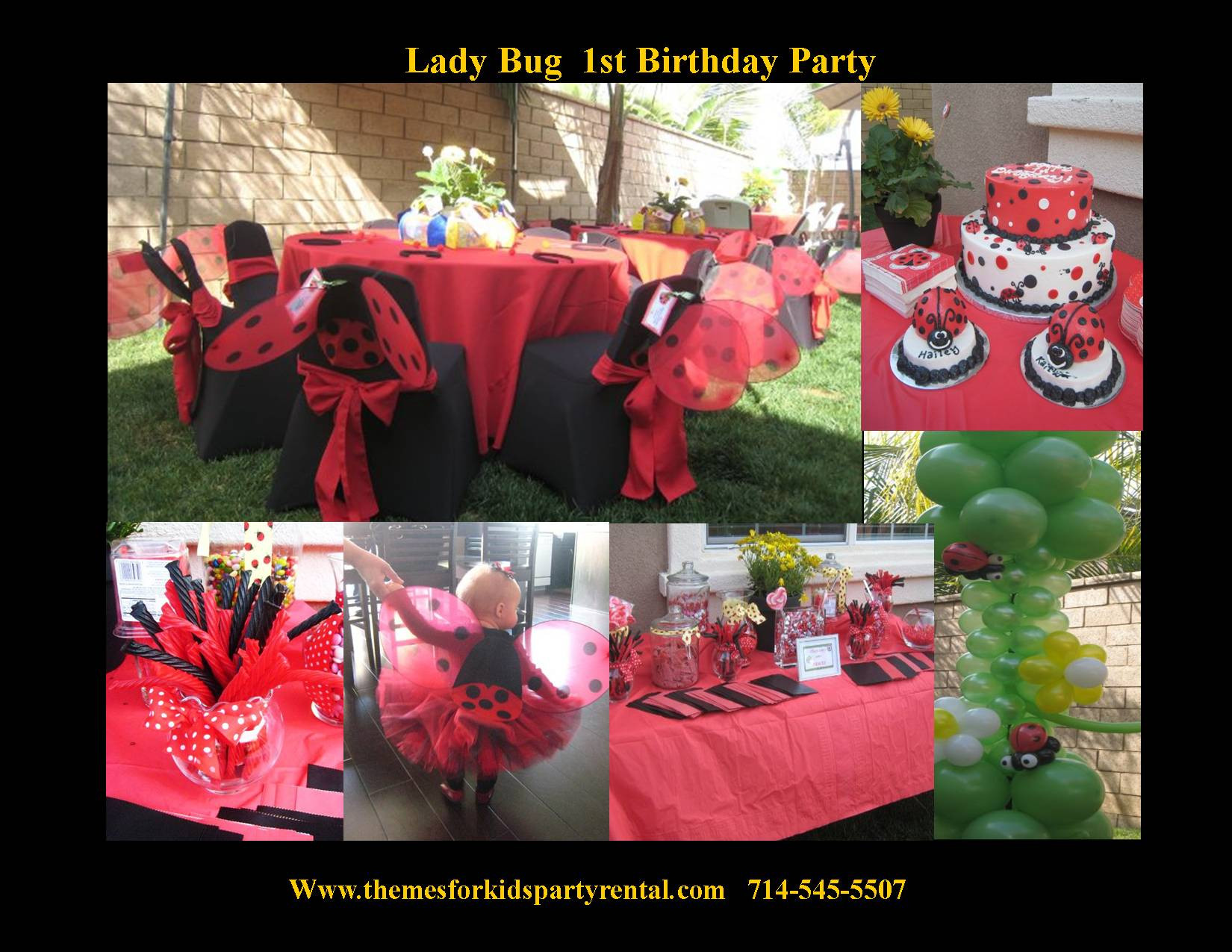 Party Rental For Kids
 Themes For Kids Party Rental