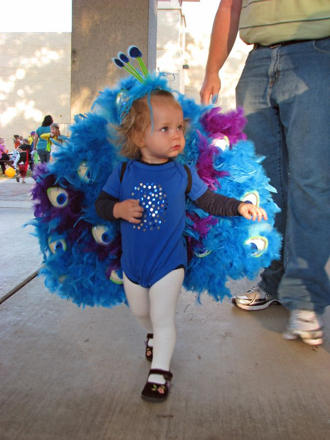 Peacock Costume DIY Kids
 88 best PEACOCK child costume images on Pinterest