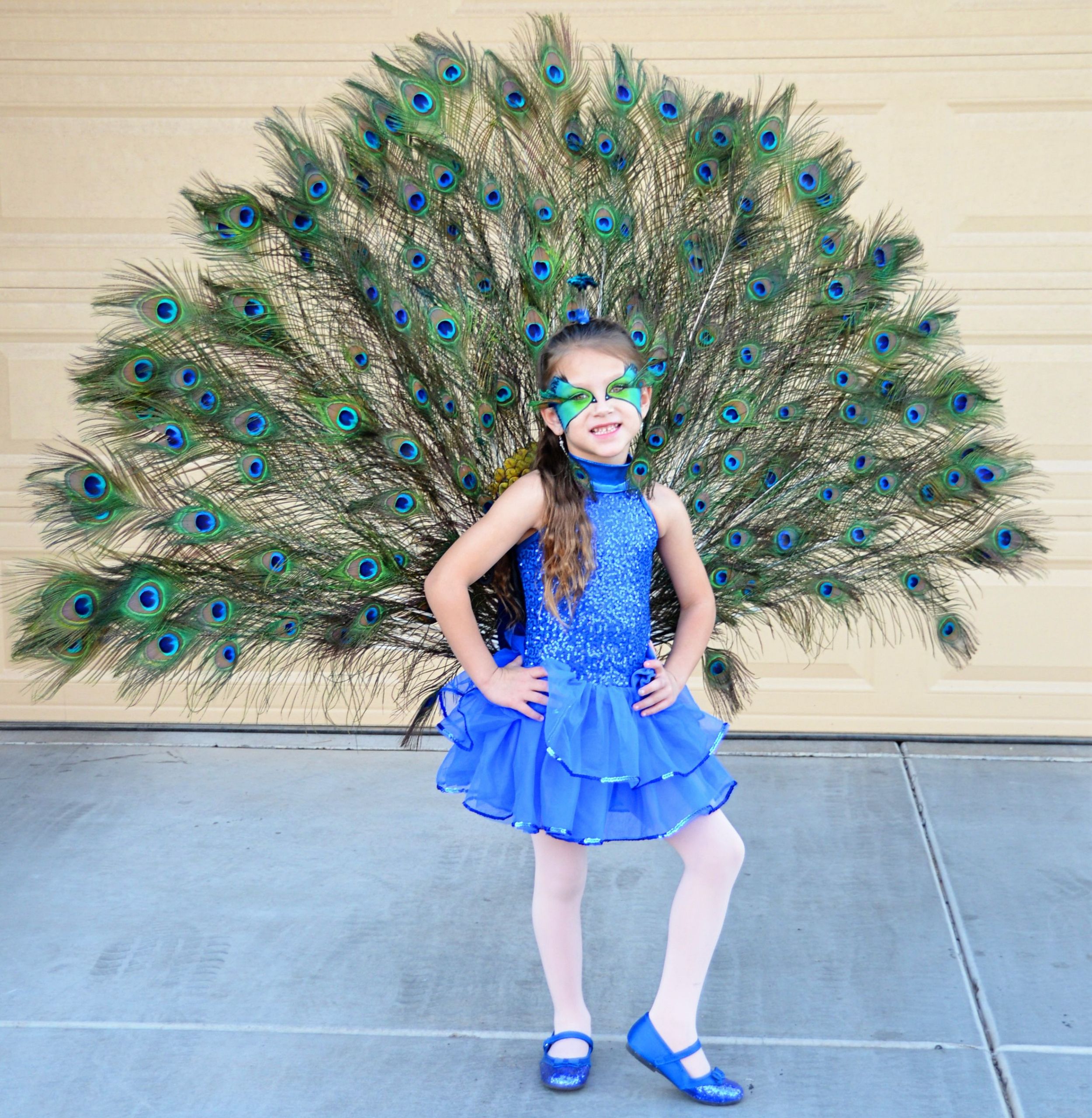 Peacock Costume DIY Kids
 Pretty Peacock Instructions to make your own are here
