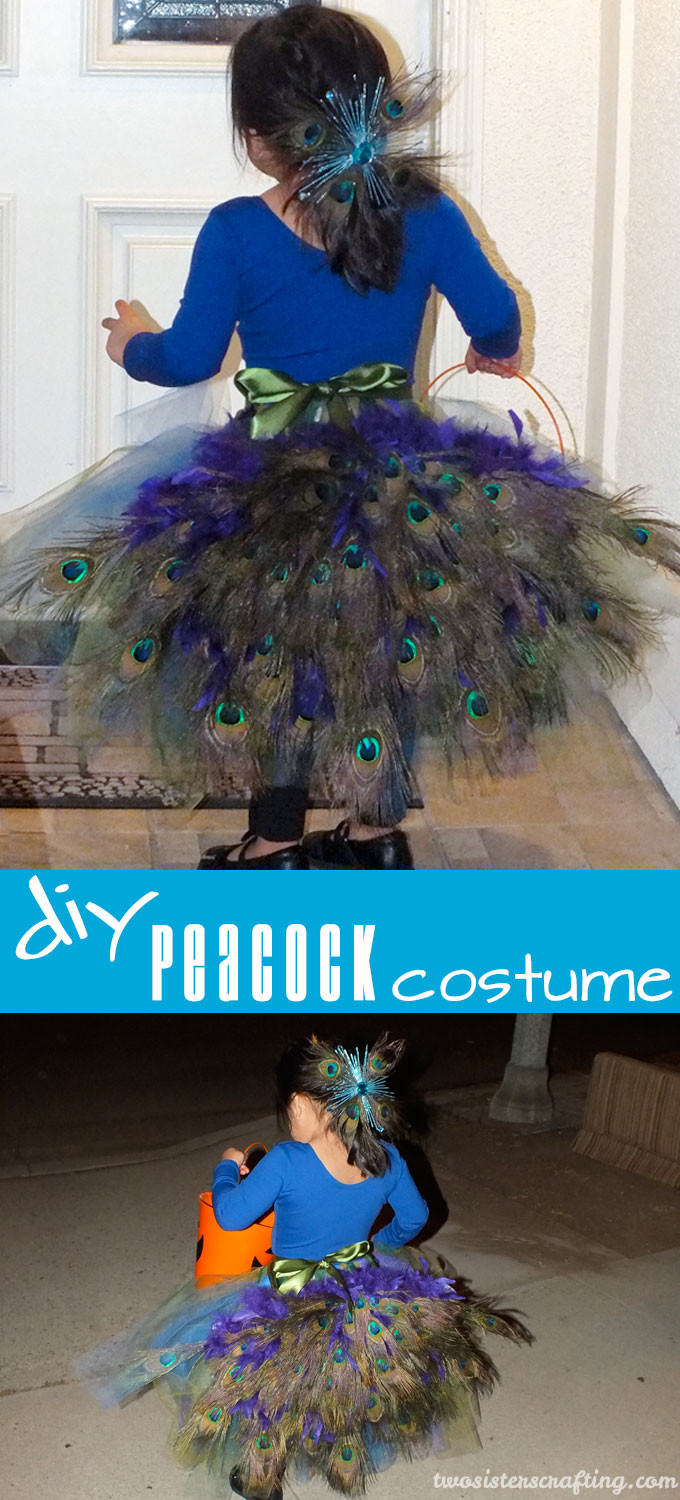 Peacock Costume DIY Kids
 DIY Peacock Costume Two Sisters