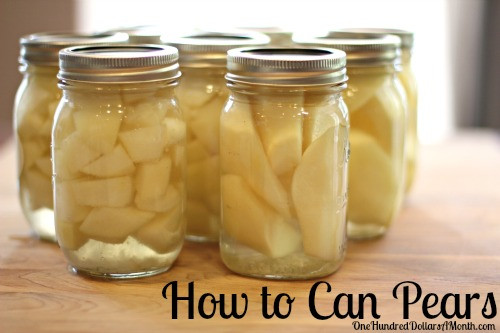 Pear Recipes For Canning
 Canning 101 How To Can Pears