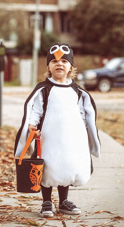 Penguin Costumes DIY
 penguin costume halloween this will be your child