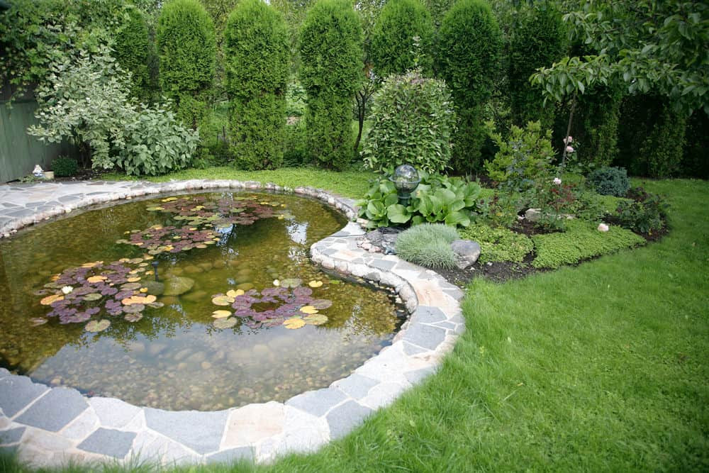 Pictures Of Backyard Ponds
 60 Backyard Pond Ideas s