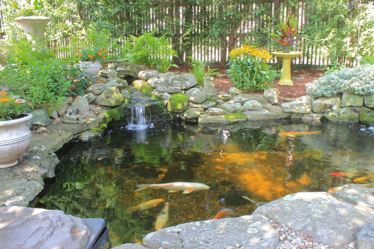 Pictures Of Backyard Ponds
 Backyard Water Features Beyond the Pool EagleBay USA Pavers