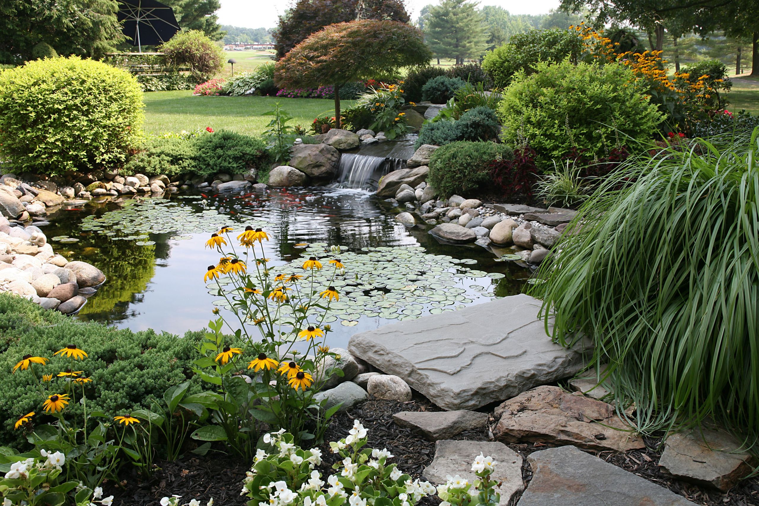 Pictures Of Backyard Ponds
 Great Plants for Small Backyard Ponds