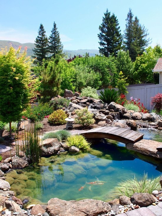 Pictures Of Backyard Ponds
 67 Cool Backyard Pond Design Ideas DigsDigs