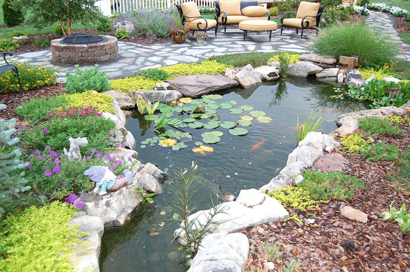 Pictures Of Backyard Ponds
 Inspiring Backyard Pond Ideas Quiet Corner