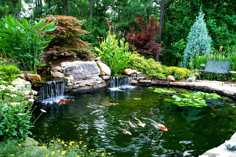 Pictures Of Backyard Ponds
 Ponds & Waterfalls 101 Artistic Landscapes