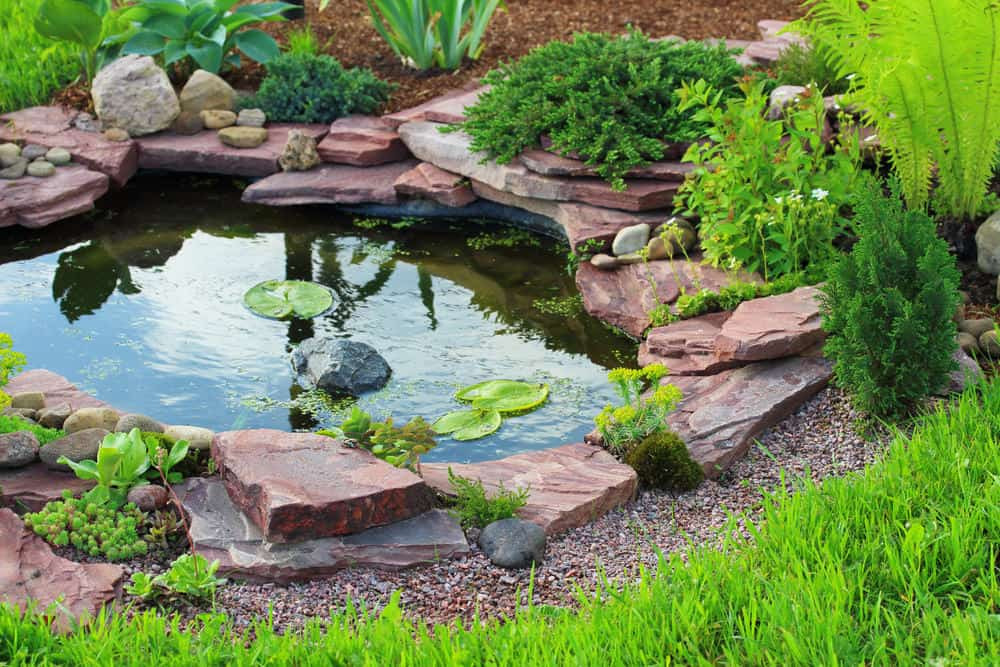 Pictures Of Backyard Ponds
 60 Backyard Pond Ideas s