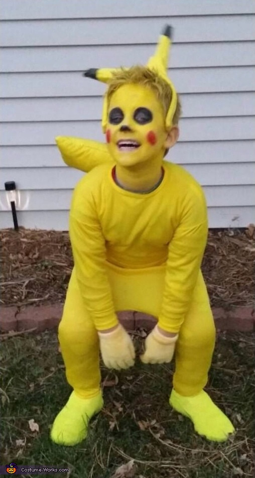 Pikachu Costume DIY
 Pokemon Costumes For Kids Diy