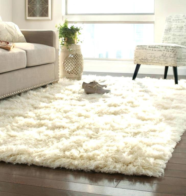 Plush Rugs For Living Room
 Living Room Designs And Decoration Plush Rugs Area Fuzzy