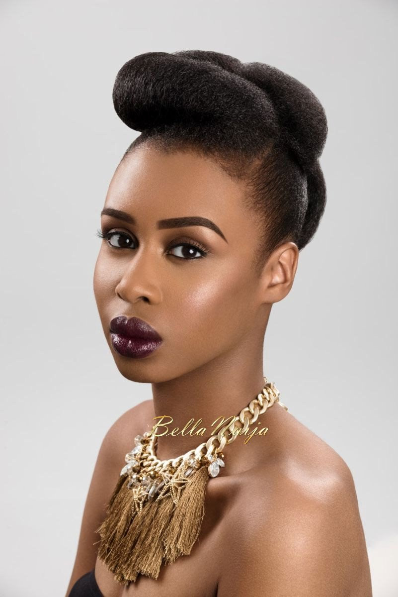 Pompadour Hairstyles For Natural Hair
 BN Beauty Pompadours Up dos & More Dionne Smith Serves