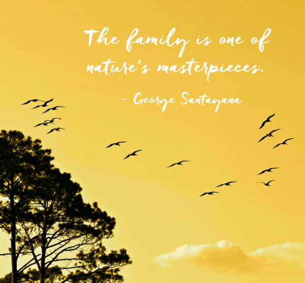 Positive Family Quotes
 40 Inspirational Family Quotes and Family Sayings