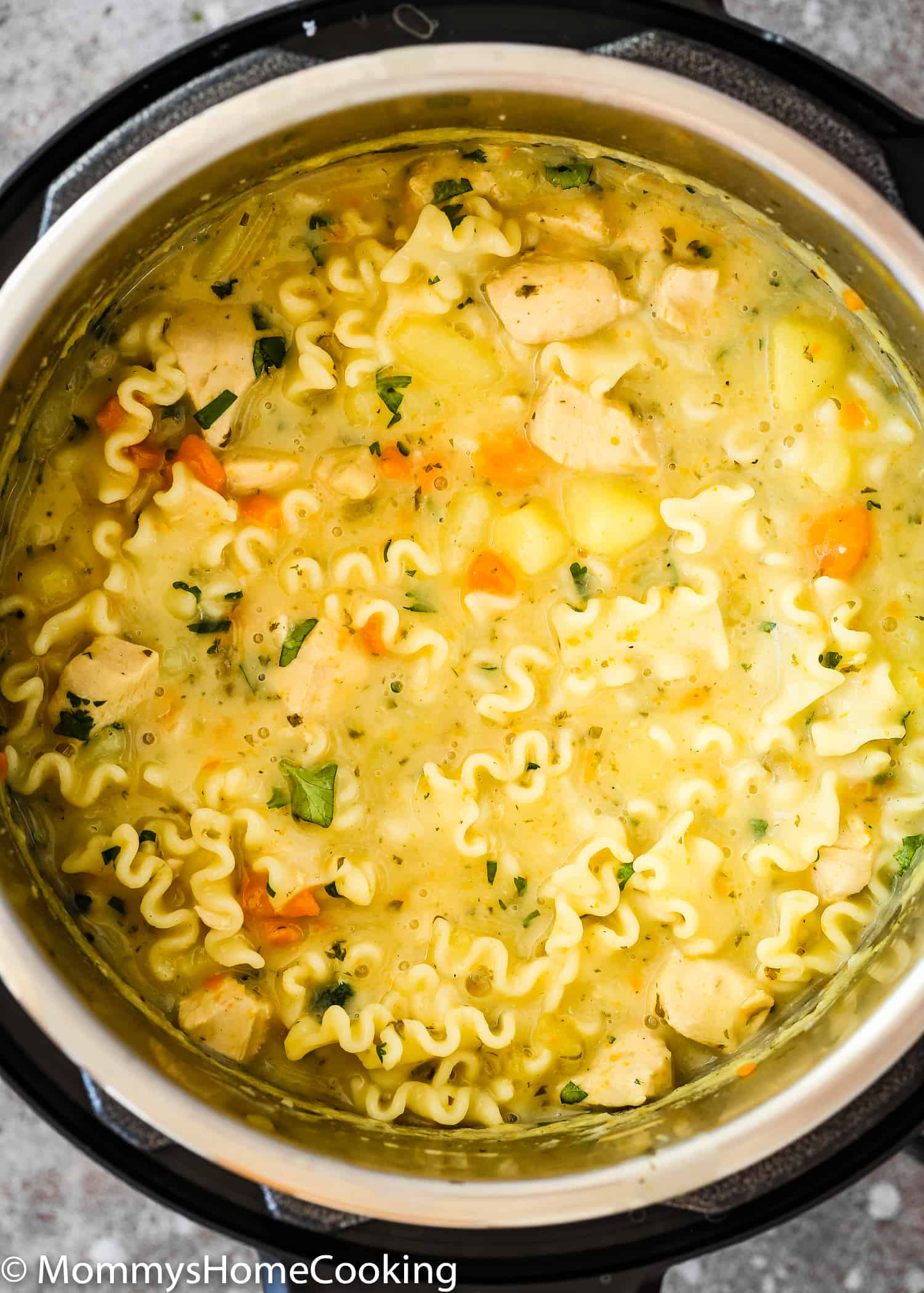 Pressure Cooker Chicken Noodle Soup Recipe
 Pressure Cooker Creamy Chicken Noodle Soup [Video] Mommy