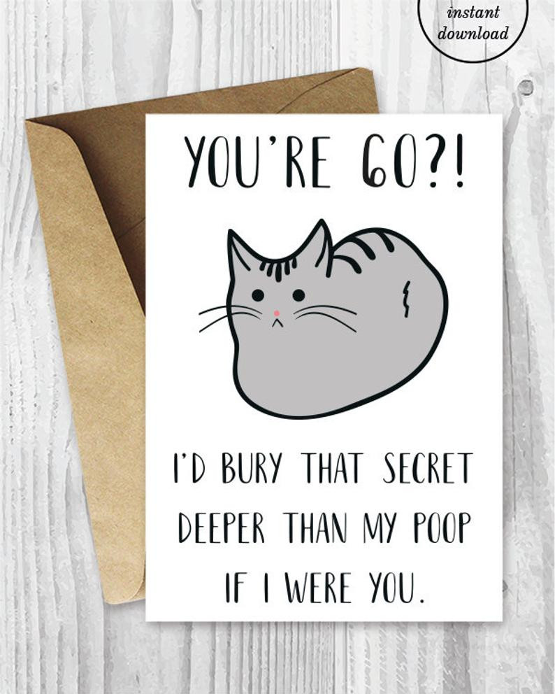 Printable Birthday Cards Funny
 Funny 60th Birthday Cards Printable Cat 60 Birthday Card