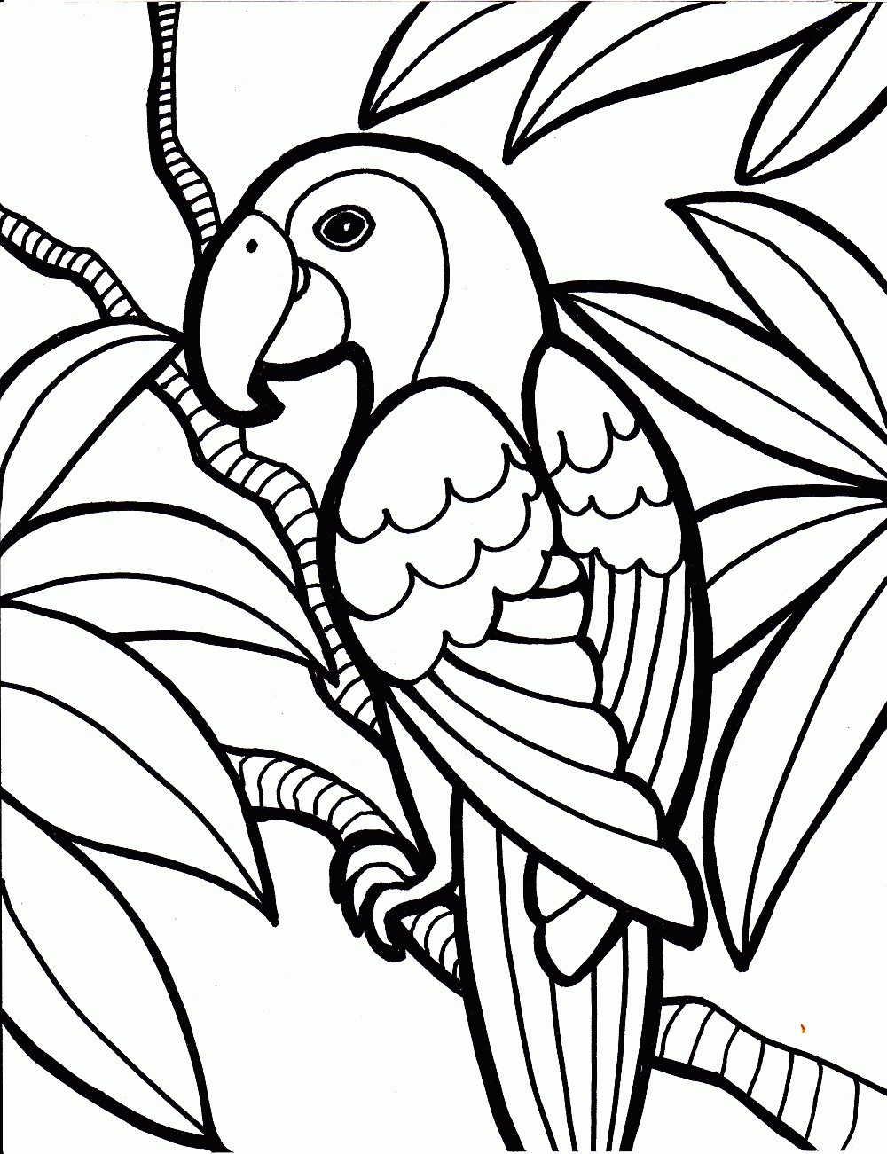 Printable Coloring Books For Adults
 coloring pages