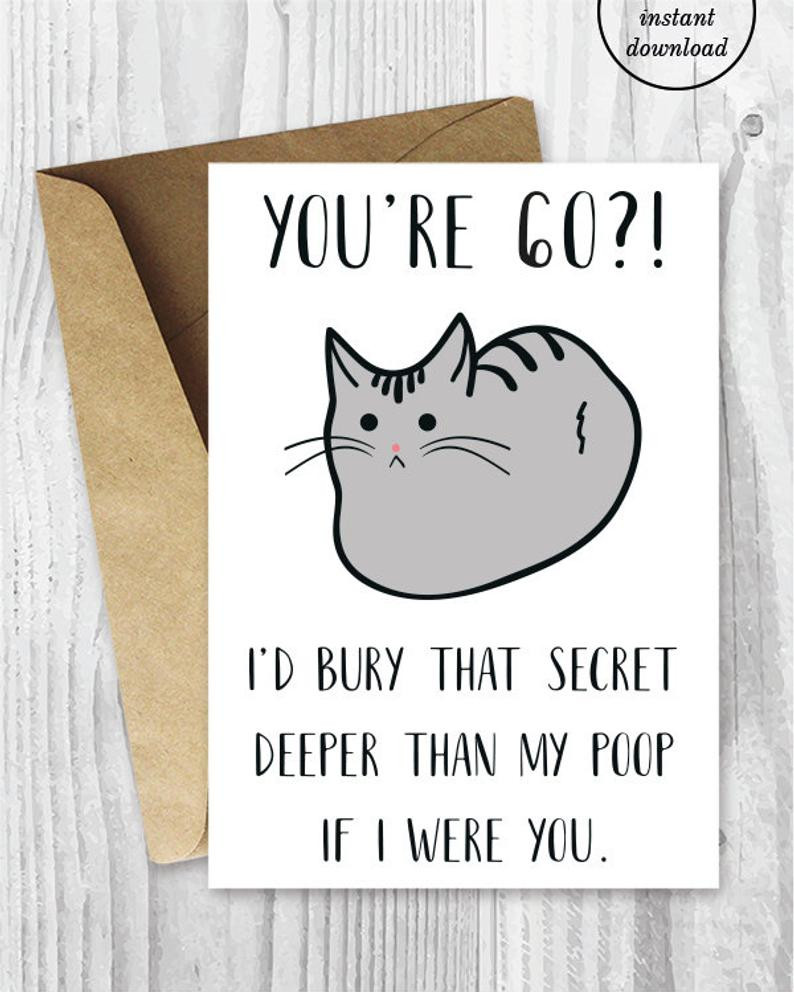 Printable Funny Birthday Cards
 Funny 60th Birthday Cards Printable Cat 60 Birthday Card