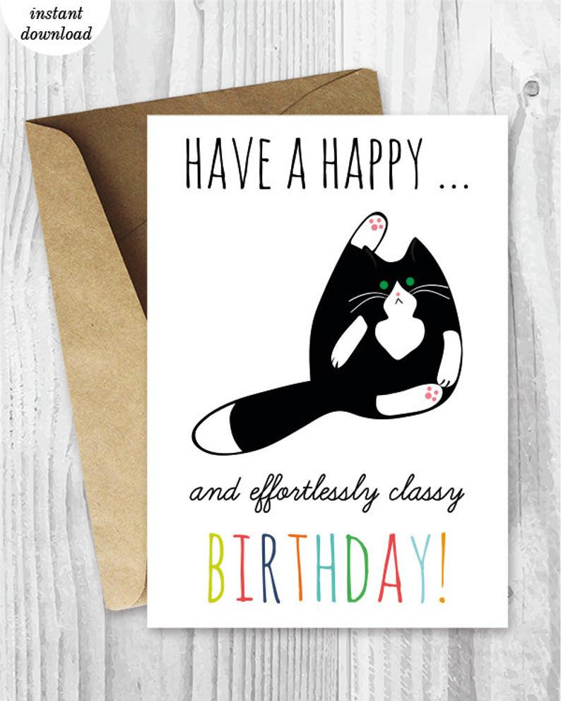 Printable Funny Birthday Cards
 Printable Birthday Cards Funny Cat Birthday Cards Instant