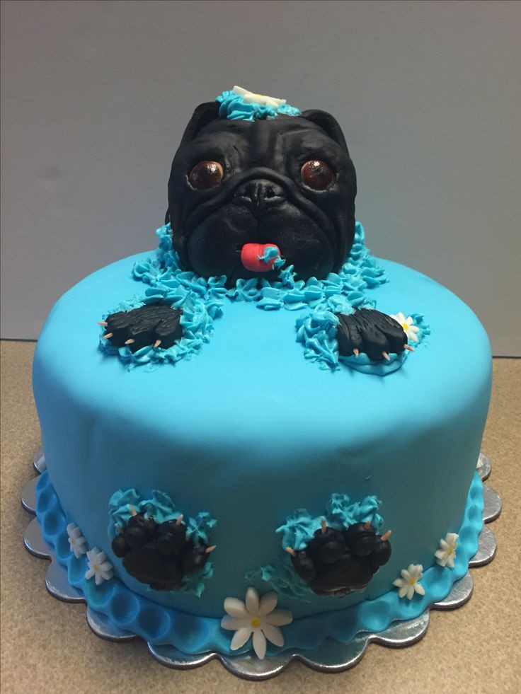 Pug Birthday Cake
 Pug cake for mid Atlantic pug fest 2016 Vanilla with