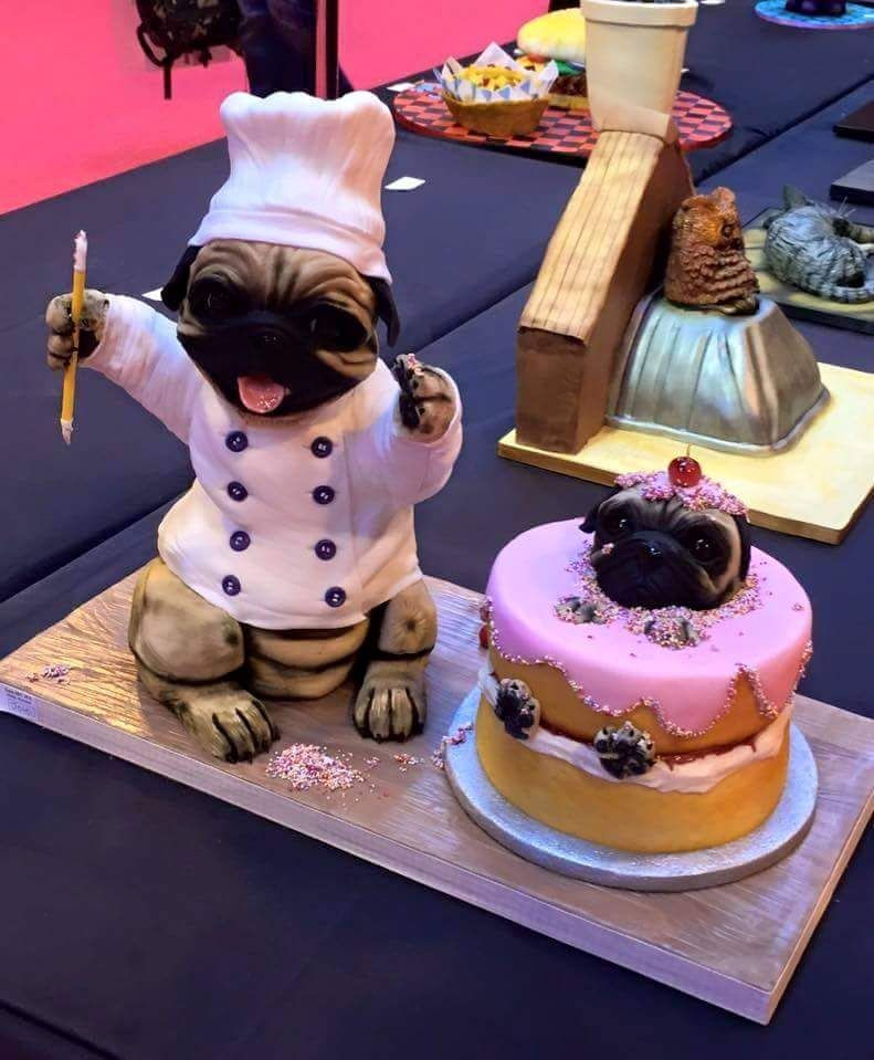 Pug Birthday Cake
 Pug cake