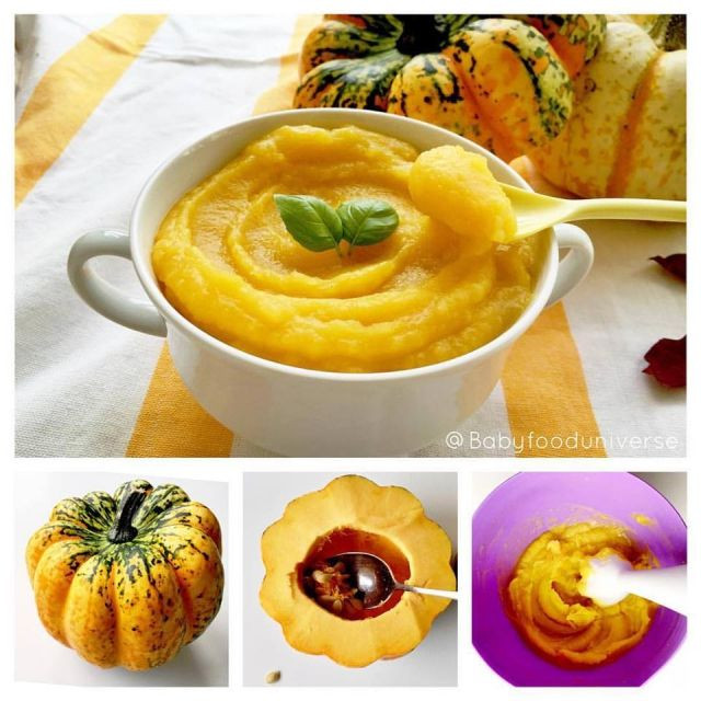 Pumpkin Baby Food Recipes
 Pumpkin baby food purée suitable from 4 month 6 months