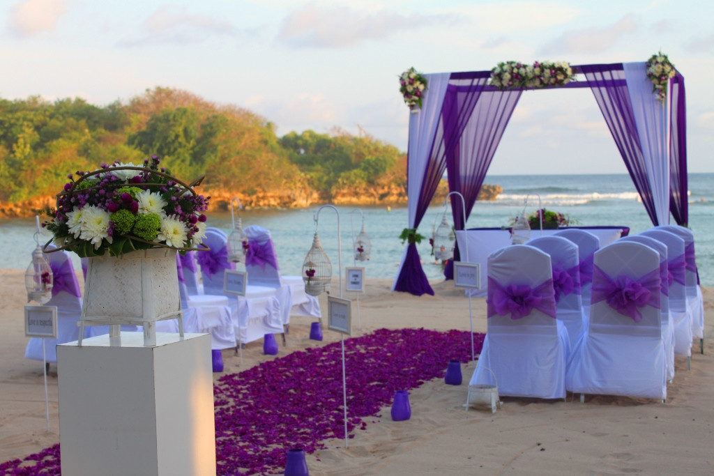 Purple Themed Wedding
 Purple Themed Wedding