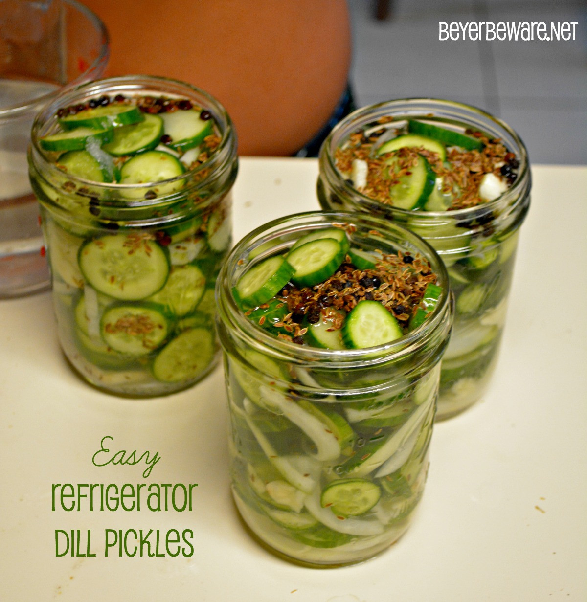 Quick Refrigerator Dill Pickles
 Easy Refrigerator Dill Pickles Beyer Beware