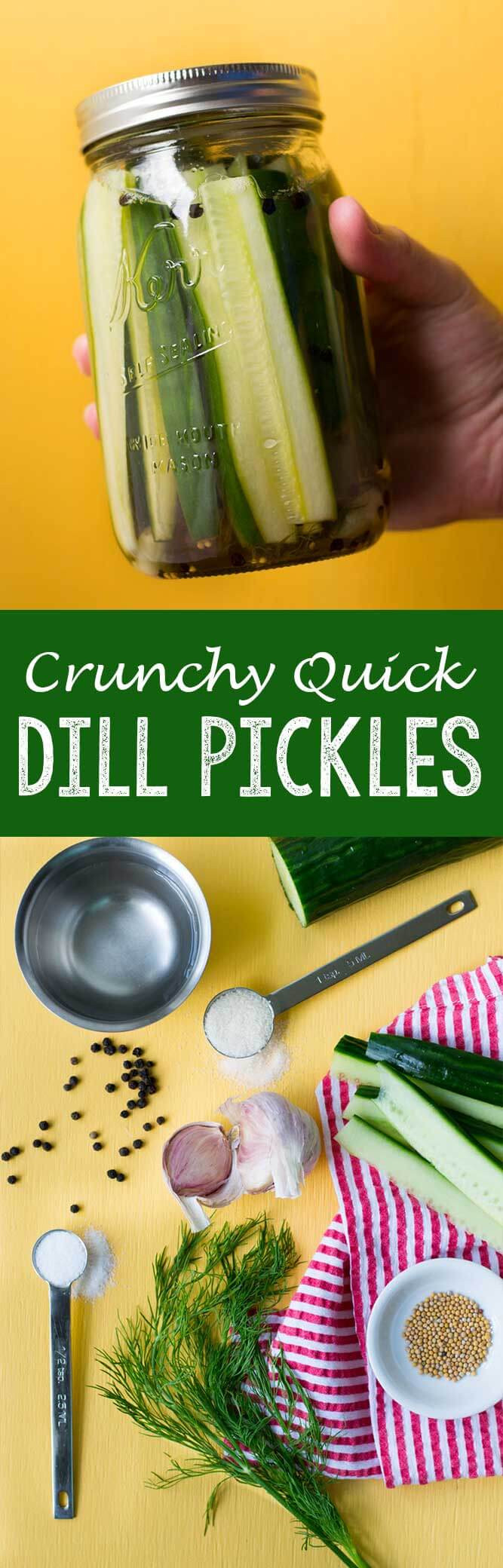 Quick Refrigerator Dill Pickles
 Crunchy Quick Dill Pickles Easy Peasy Meals
