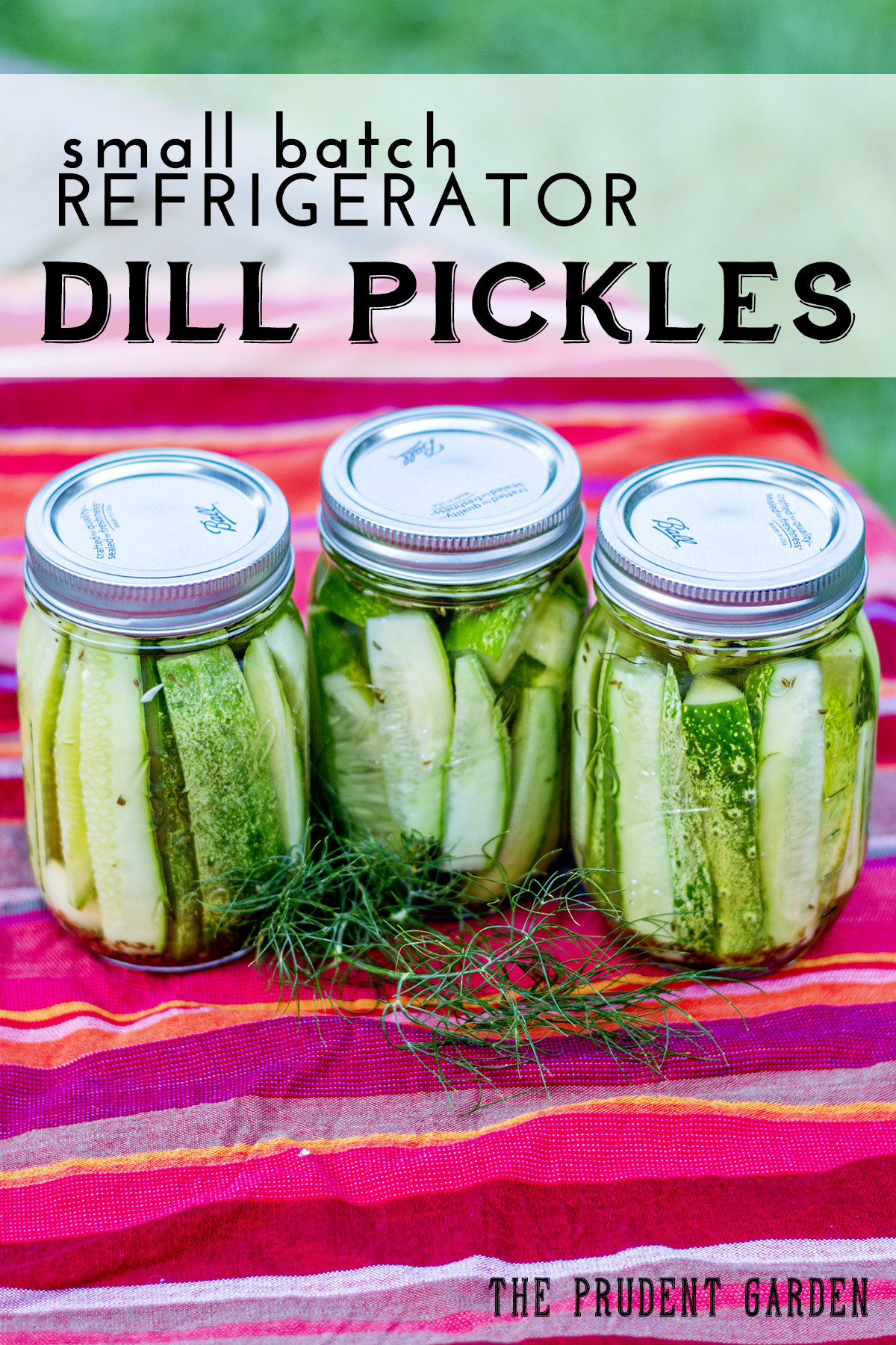 Quick Refrigerator Dill Pickles
 Small Batch Refrigerator Dill Pickles