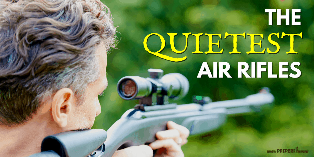 Quiet Air Rifle For Backyard
 2020 s Top 10 Quietest Air Rifles for Hunting and Backyards