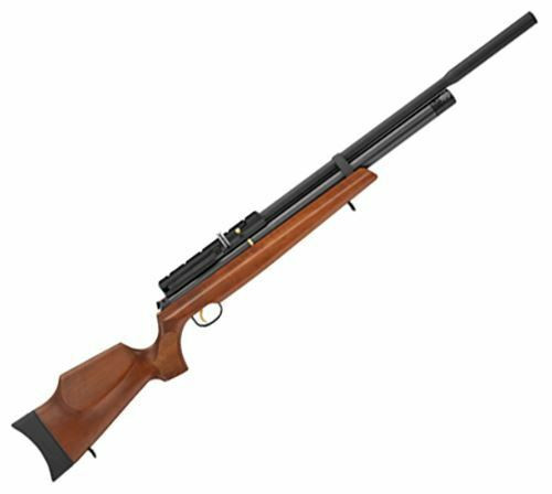 Quiet Air Rifle For Backyard
 Hatsan At44w 10 Quiet Energy PCP Air Rifle 25 Caliber