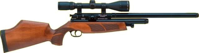 Quiet Air Rifle For Backyard
 Quiet and Accurate Air Rifle Pistol for Backyard Shooting