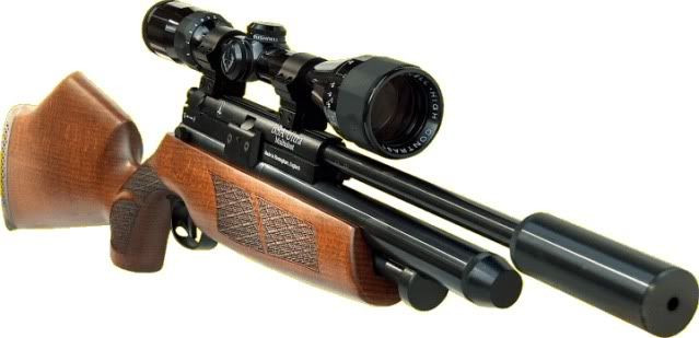 Quiet Air Rifle For Backyard
 Quiet and Accurate Air Rifle Pistol for Backyard Shooting