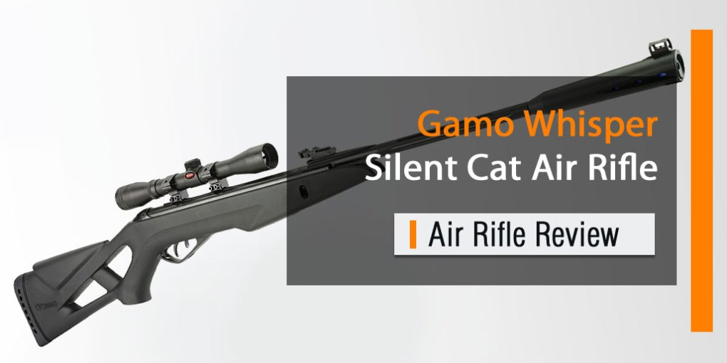 Quiet Air Rifle For Backyard
 Gamo Whisper Silent Cat Air Rifle Review Air Rifle