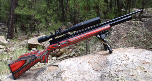 Quiet Air Rifle For Backyard
 The Super Quiet Survival Rifle That Will Always Keep You