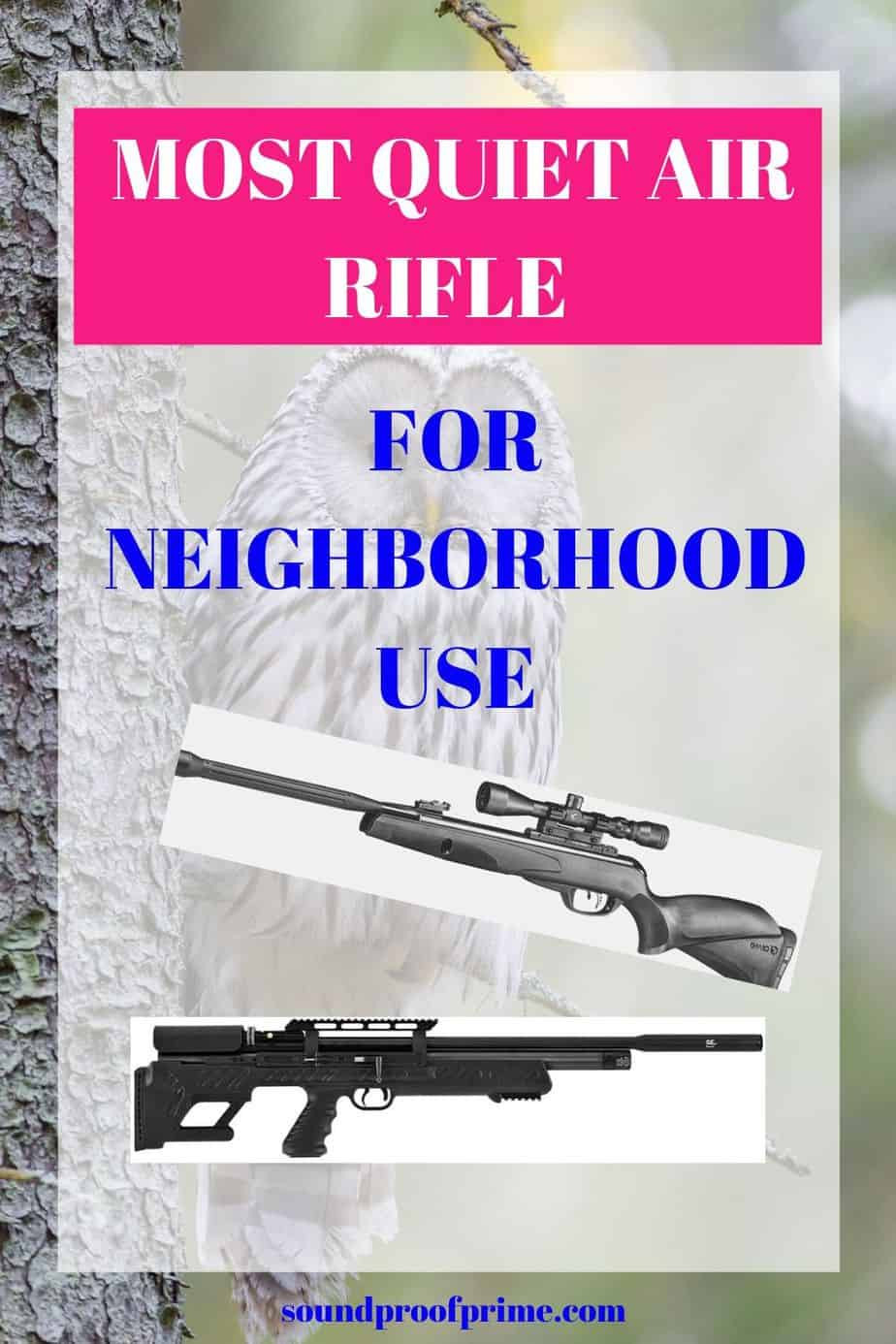 Quiet Air Rifle For Backyard
 6 Most Quiet Air Rifle for Neighborhood Use