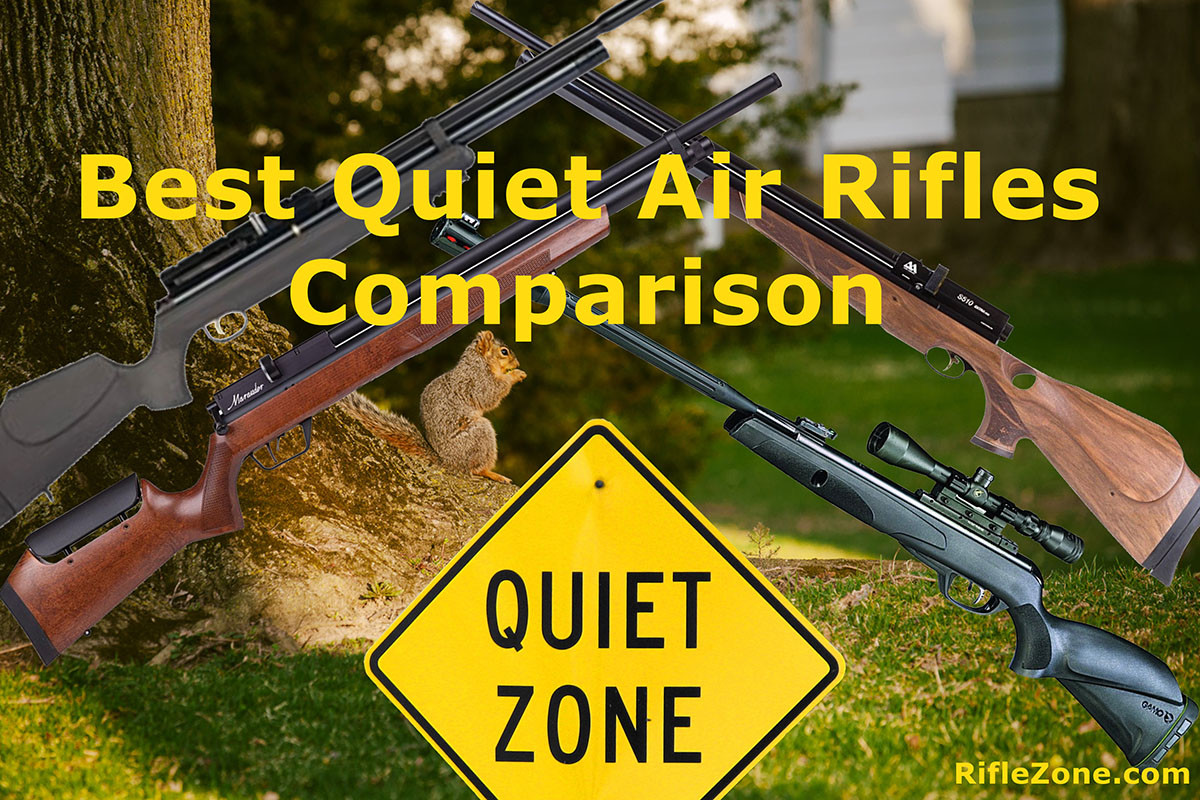 Quiet Air Rifle For Backyard
 Best Quiet Air Rifles parison RifleZone