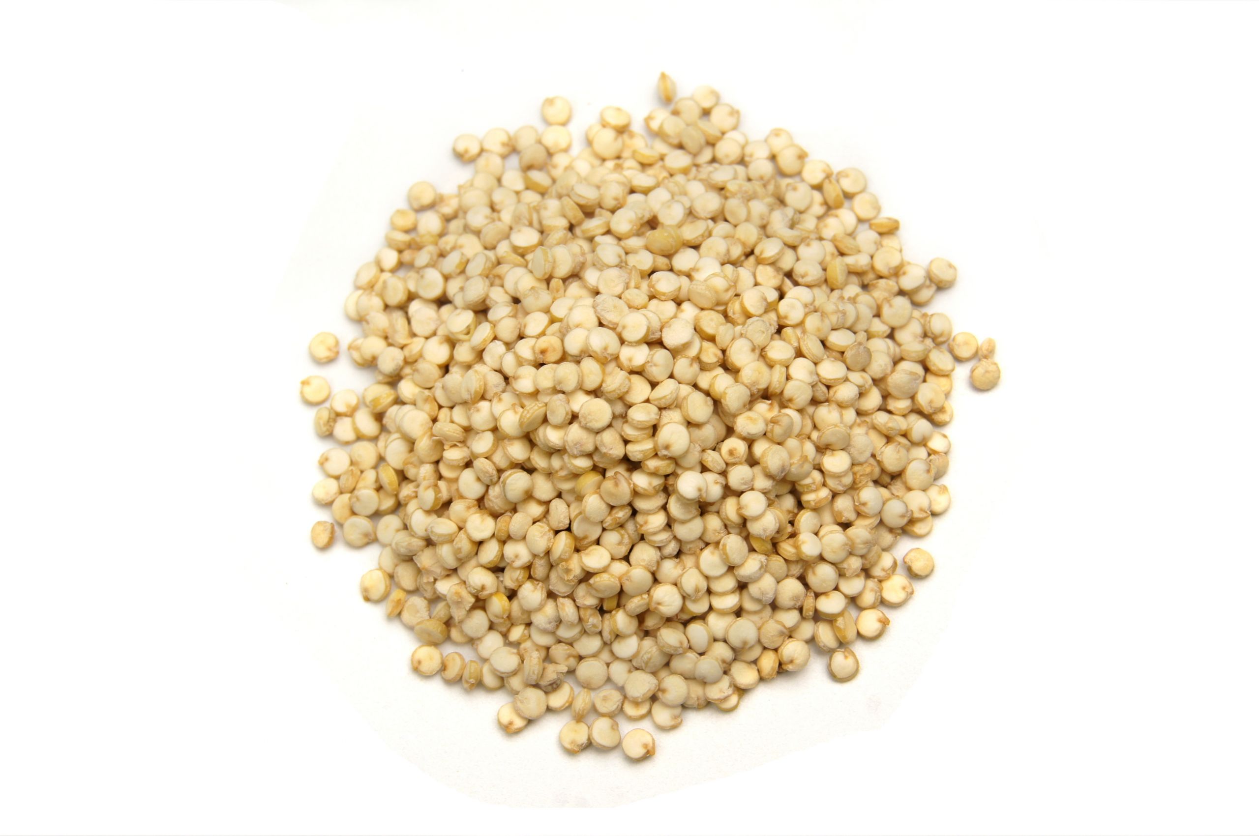 Quinoa A Grain
 Quinoa Grains