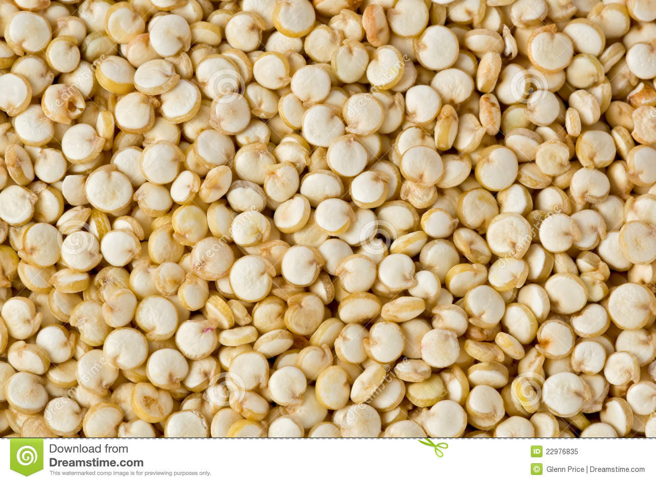 Quinoa A Grain
 Quinoa Grains stock image Image of crop background