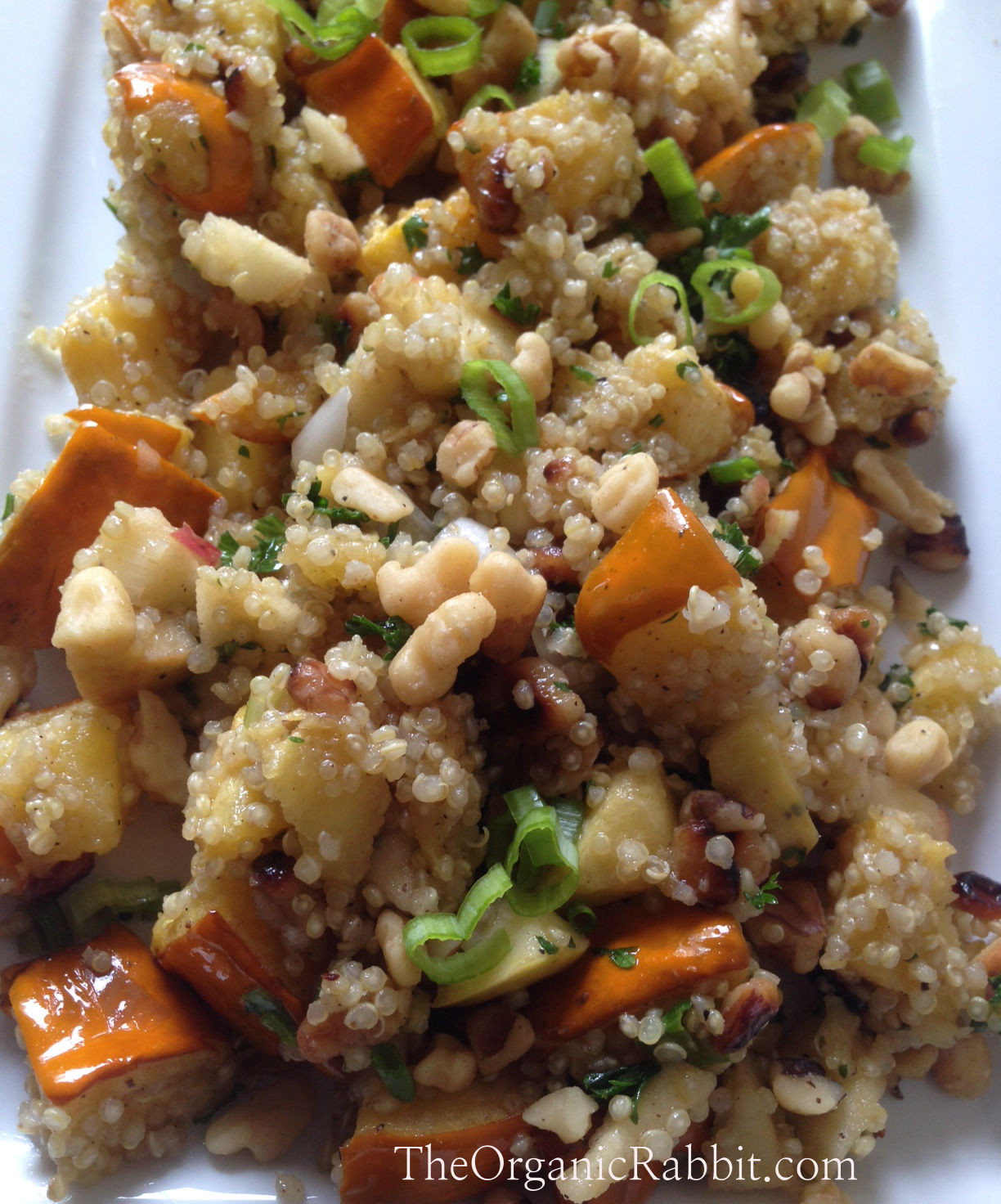 Quinoa Fiber Content
 acorn squash quinoa apple fiber protein vegan gluten free