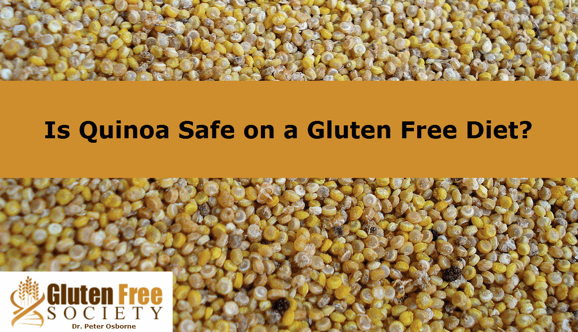 Quinoa Is Gluten Free
 Is Quinoa a Safe Gluten Free Food Alternative